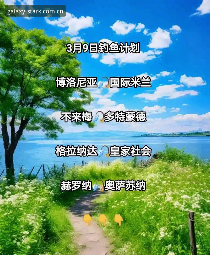 星空娱乐苹果版对比 皇家社会后防补强计划深度解析:从迪奥戈·莱特转会看星空体育平台赛事洞察指南